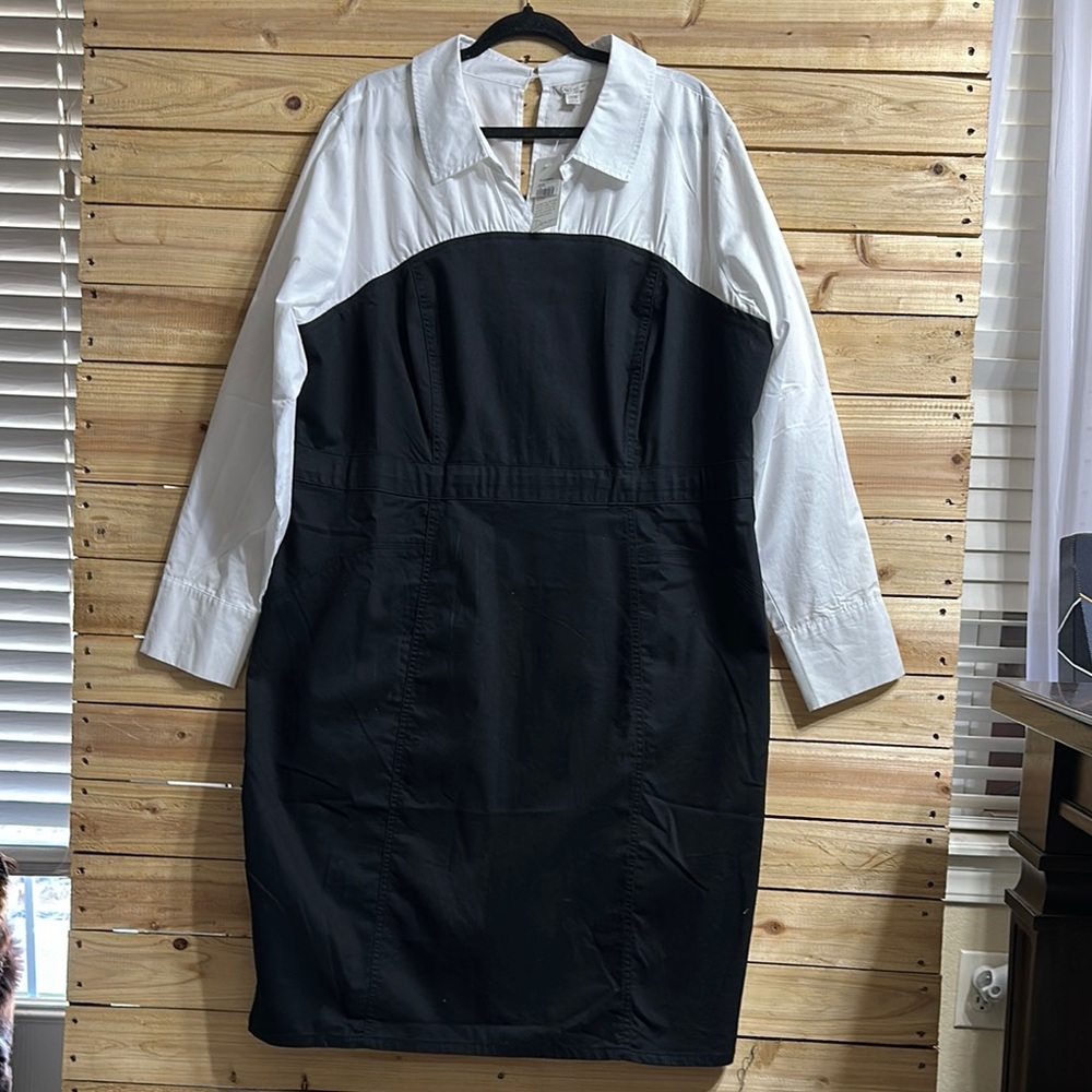 Cato Black and White Long Sleeve Dress